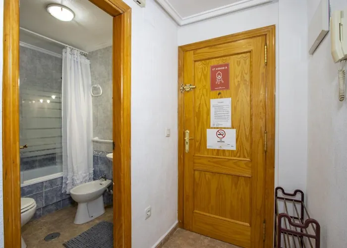 Alegria Id93 Torrevieja